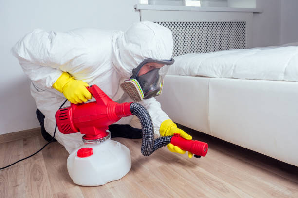 Best Termite Control Services  in St Pauls, NC