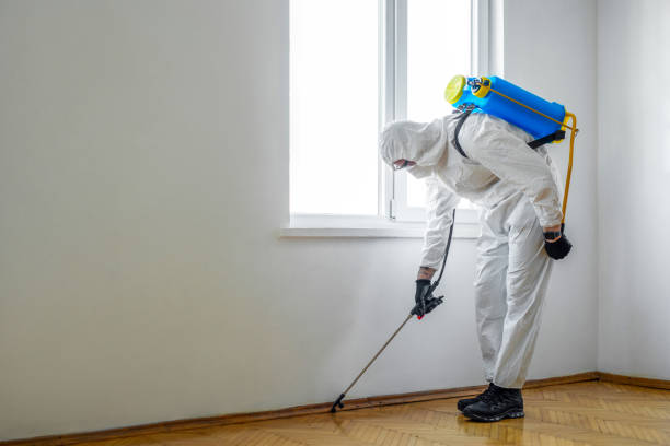 Best Bed Bug Extermination  in St Pauls, NC
