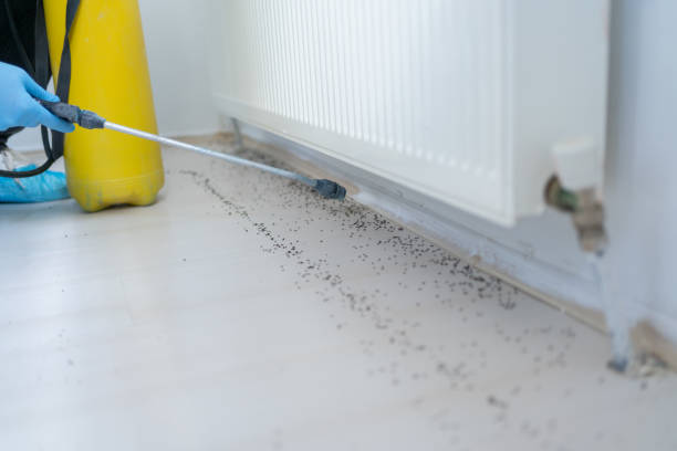 Best Mosquito Control Services  in St Pauls, NC
