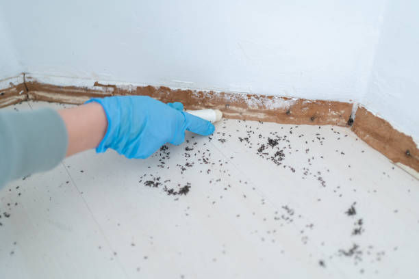 Best Wildlife Control Services  in St Pauls, NC